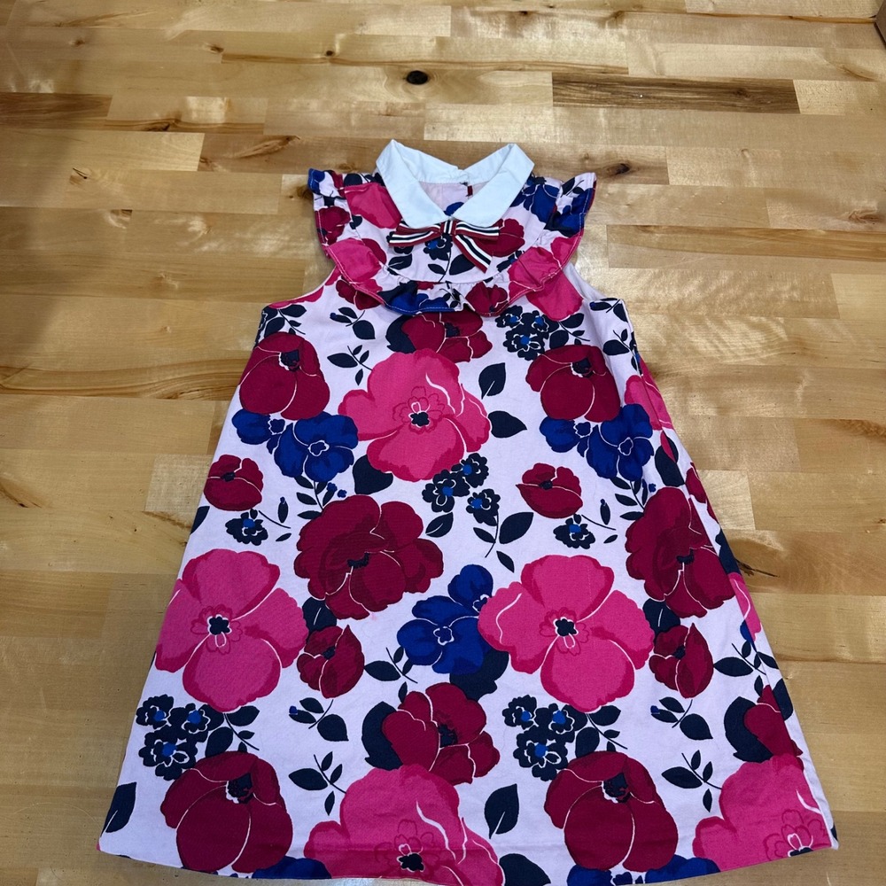 Janie and Jack Floral Dress Kids 4 Pink Excellent Ruffle Peter Pan Collar Bow